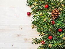 Программу «Новый год в старинном парке» представили на Кузьминской