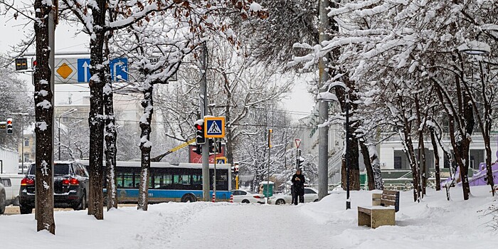 Погода в СНГ: метели обрушились на Казахстан, короед атаковал Беларусь