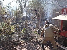 Иркутские пожарные-десантники помогут тушить лес в Воротынском районе