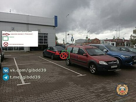 Неудачная парковка: в Гусевском районе сдававшая назад легковушка сбила человека