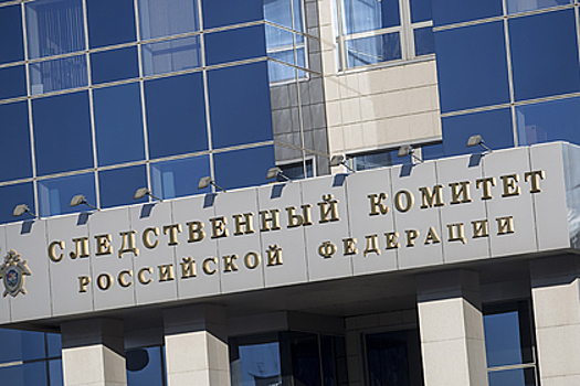 СКР установит украинских инициаторов вызова на допрос Шойгу и Медведева