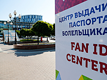 Мнения футбольных фанатов об обязательном Fan ID для посещения матчей разделились