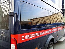 В Одинцовском районе арестовали обвиняемого в убийстве собственного отца