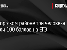 В Выборгском районе три человека набрали 100 баллов на ЕГЭ