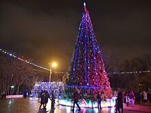 Власти Ярославля закупают новогоднюю елку и гирлянды