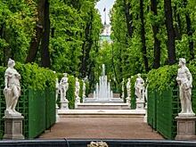 УФАС по Петербургу нашло нарушения при закупках для нужд Русского музея