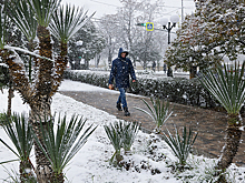 Сюрпризы погоды: снег в Сочи и лужи на Камчатке