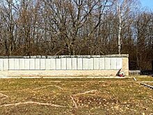 Заброшенный мемориал в селе Рянза привлек внимание прокуратуры