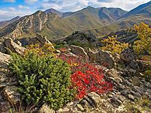 На улице Маршала Василевского 13 марта пройдет очередная встреча киноклуба