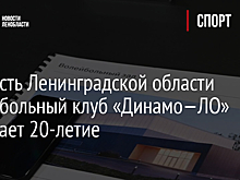 Гордость Ленинградской области волейбольный клуб «Динамо—ЛО» отмечает 20-летие