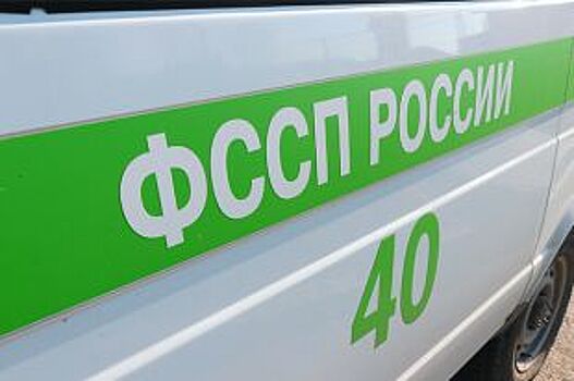 Приставы рекомендуют узнать о своих долгах, чтобы не испортить Новый год