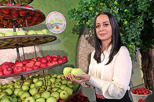 На форуме в Южной Осетии представили экономический потенциал республики