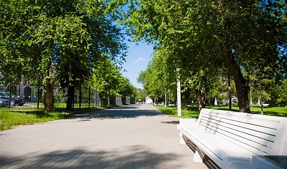 Волонтеры помогли 50 тысячам волгоградцев выбрать проекты благоустройства