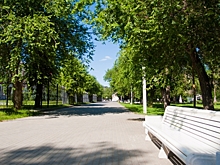 Волонтеры помогли 50 тысячам волгоградцев выбрать проекты благоустройства