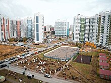 "Экология нас объединяет": в "Салават купере" состоялась высадка деревьев