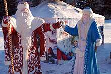 Кража волшебного посоха у Деда Мороза раскрыта под Новосибирском