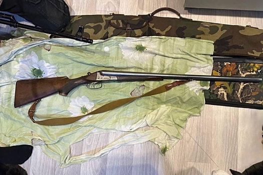 Четырех лосей незаконно добыли трое жителей Ярославской области