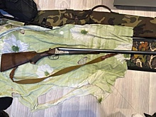 Четырех лосей незаконно добыли трое жителей Ярославской области