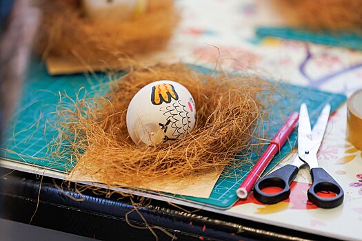 От искусства до науки. Лучшие образовательные программы для детей в Москве