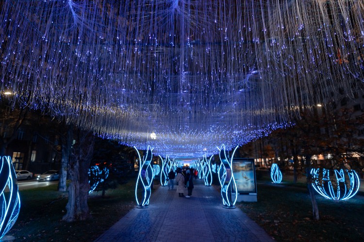 Небесное шоу и магнитная буря: чего ждать жителям Кубани в новогоднюю ночь