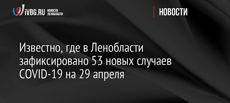 Известно, где в Ленобласти зафиксировано 53 новых случаев COVID-19 на 29 апреля