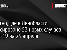 Известно, где в Ленобласти зафиксировано 53 новых случаев COVID-19 на 29 апреля