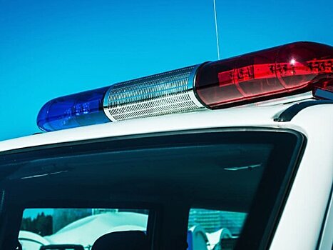 Эвакуатор задавил ребенка на трассе в Новгородской области