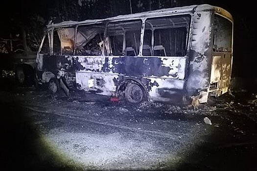 Автобус с российскими вахтовиками врезался в лесовоз и загорелся