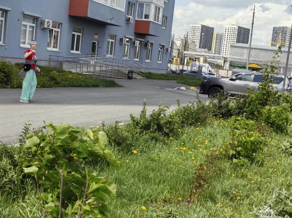 Мэрия Тюмени пресекла самоуправство жильцов в сфере ландшафтного дизайна