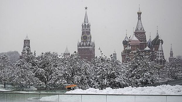 Эксперты рассказали, к чему привело повышение зимних температур в Москве