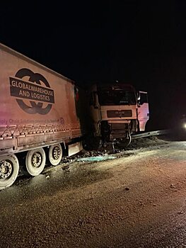 Пассажирка врезавшегося в отбойник грузовика погибла под Хвалынском