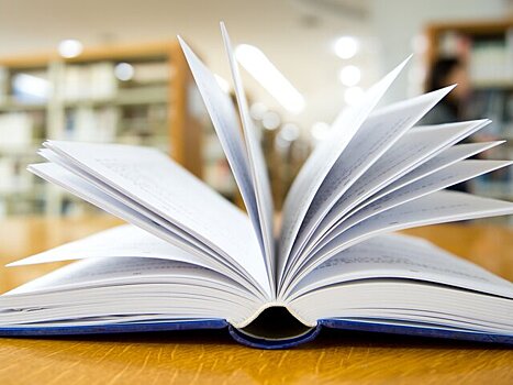 РИА Новости: на Украине уничтожат тираж книги за посты автора на русском языке
