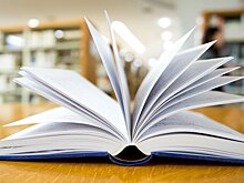 РИА Новости: на Украине уничтожат тираж книги за посты автора на русском языке