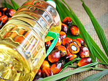Верховная рада Украины поддержала запрет использования пальмового масла в детском питании