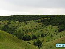 В Саратовской области два дня будут учиться тушить лес