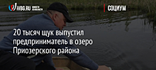 20 тысяч щук выпустил предприниматель в озеро Приозерского района