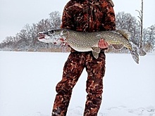 «Секретное место»: рыбак из Советска поймал огромную щуку (фото)
