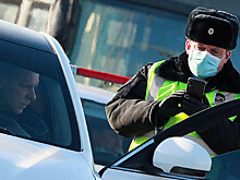 В Подмосковье за три дня выдали 2,7 миллиона пропусков