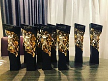 Названы лауреаты премии «ТЭФИ-Kids — 2024»