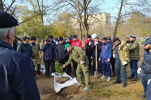 В парке Махачкалы высадили 58 сосен в память об Абдулманапе Нурмагомедове