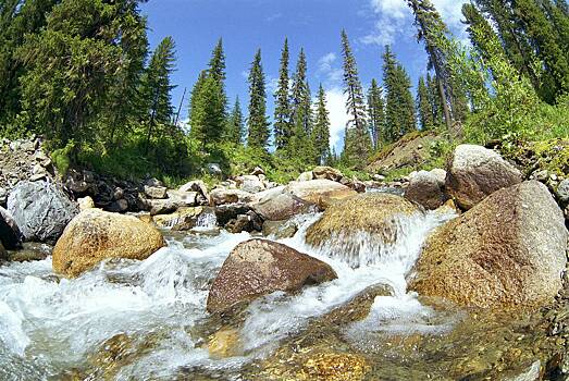 Экс-коллега Усольцева высказалась о версии о его побеге за границу