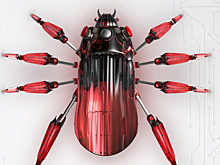 «АльфаСтрахование» определила регионы-лидеры по укусам клещей