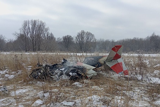 В Нижегородской области упал и загорелся легкомоторный самолет