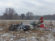 В Нижегородской области упал и загорелся легкомоторный самолет