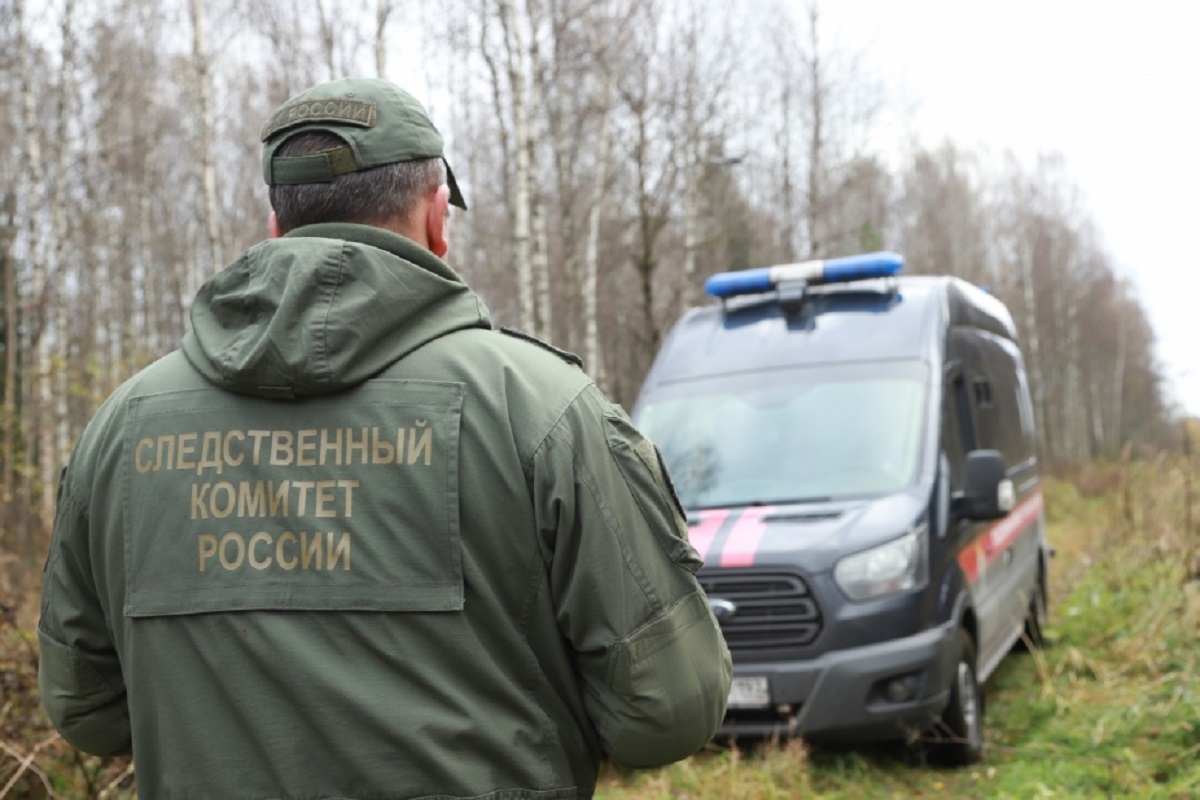 Подростки подкараулили в лесу и толпой избили сверстника в Ижевске