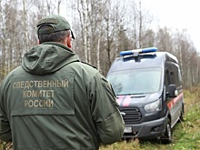 Подростки подкараулили в лесу и толпой избили сверстника в Ижевске