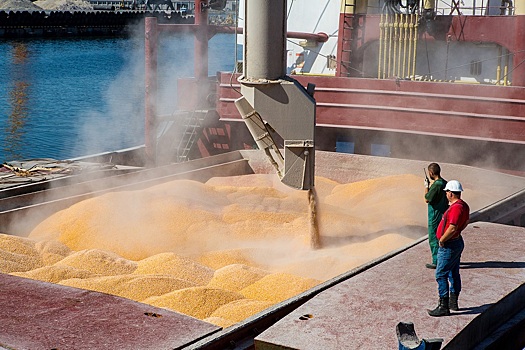 Россия в ноябре более чем на треть снизила отгрузки зерна