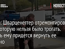 Видео: Шварценеггер отремонтировал яму, которую нельзя было трогать. Теперь ему придется вернуть ее обратно