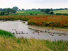 На дне реки нашли мешок с человеческими костями