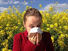 Аллерголог-иммунолог поделилась советами, как бороться с аллергией на пыльцу